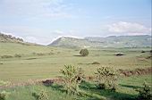 Sardinian landscape in spring